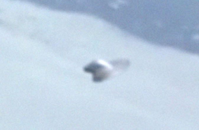 UFO423.jpg